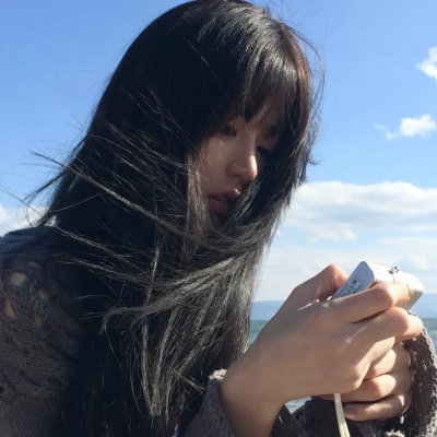神犬小七第二季